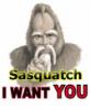*sasquatch*'s photo